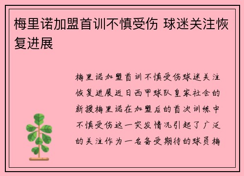 梅里诺加盟首训不慎受伤 球迷关注恢复进展